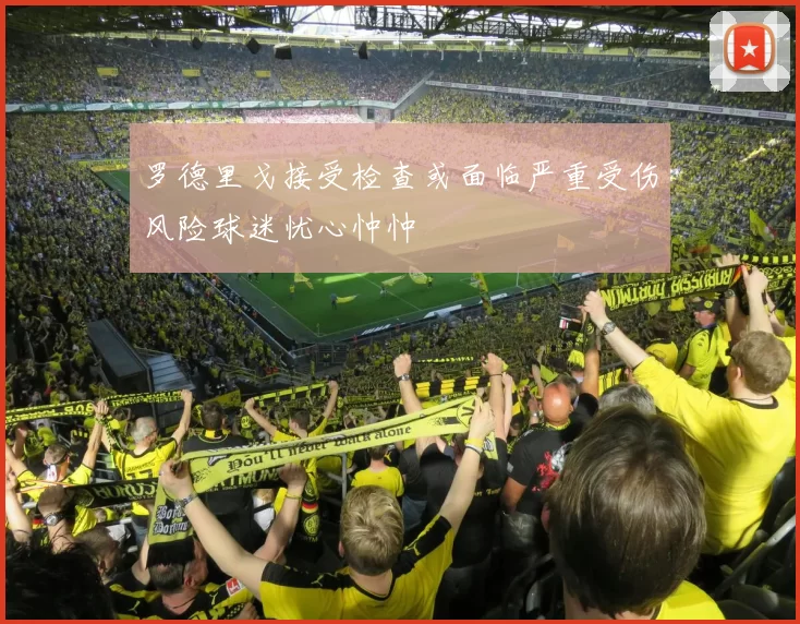 罗德里戈接受检查或面临严重受伤风险球迷忧心忡忡